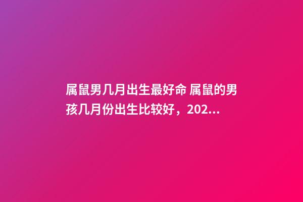 属鼠男几月出生最好命 属鼠的男孩几月份出生比较好，2022 年属鼠生几月份宝宝好-第1张-观点-玄机派
